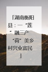 湖南衡阳县：一“莲”融三产 “荷”美乡村兴业富民