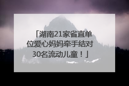 湖南21家省直单位爱心妈妈牵手结对30名流动儿童！