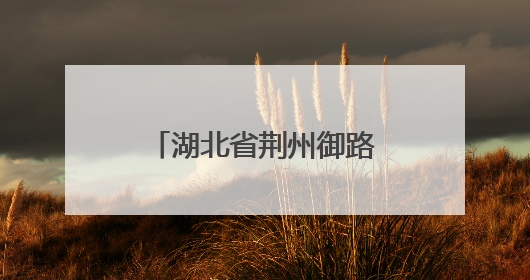 湖北省荆州御路口派出所因地制宜，整合多方力量共建平安校园