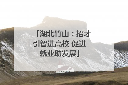 湖北竹山：招才引智进高校 促进就业助发展