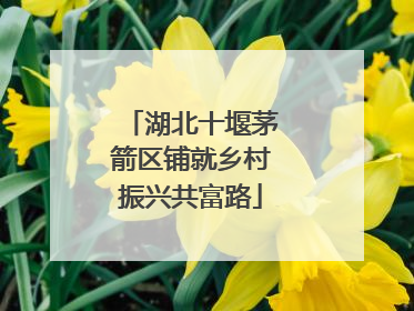 湖北十堰茅箭区铺就乡村振兴共富路