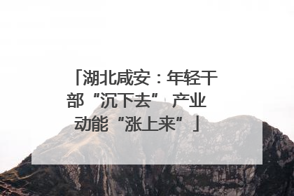湖北咸安：年轻干部“沉下去” 产业动能“涨上来”