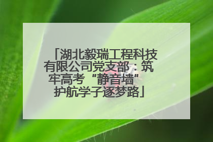 湖北毅瑞工程科技有限公司党支部：筑牢高考“静音墙” 护航学子逐梦路