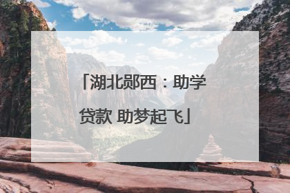 湖北郧西：助学贷款 助梦起飞