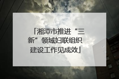 湘潭市推进“三新”领域妇联组织建设工作见成效
