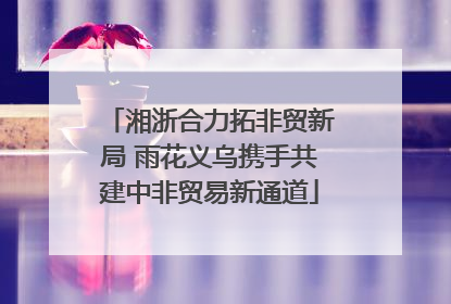 湘浙合力拓非贸新局 雨花义乌携手共建中非贸易新通道