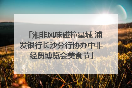 湘非风味碰撞星城 浦发银行长沙分行协办中非经贸博览会美食节