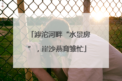 滹沱河畔“水景房”，崖沙燕育雏忙
