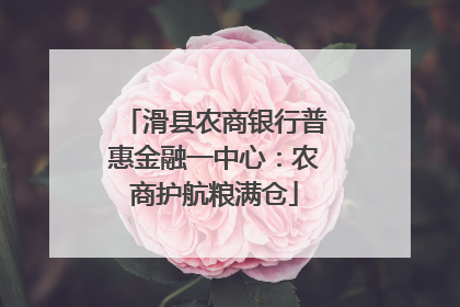 滑县农商银行普惠金融一中心：农商护航粮满仓