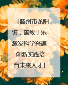 滕州市龙阳镇：寓教于乐激发科学兴趣 创新实践培育未来人才