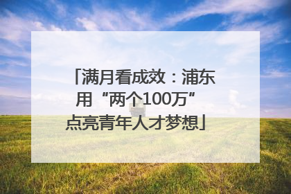 满月看成效：浦东用“两个100万”点亮青年人才梦想