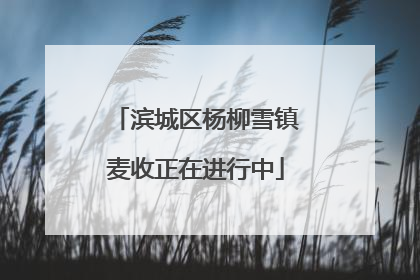 滨城区杨柳雪镇麦收正在进行中