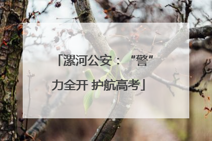 漯河公安：“警”力全开 护航高考