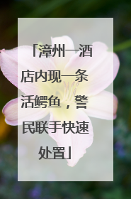 漳州一酒店内现一条活鳄鱼，警民联手快速处置