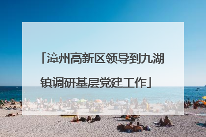 漳州高新区领导到九湖镇调研基层党建工作
