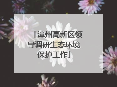 漳州高新区领导调研生态环境保护工作