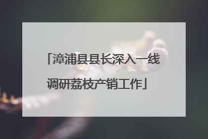 漳浦县县长深入一线调研荔枝产销工作