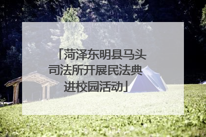 菏泽东明县马头司法所开展民法典进校园活动