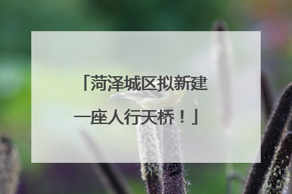 菏泽城区拟新建一座人行天桥！