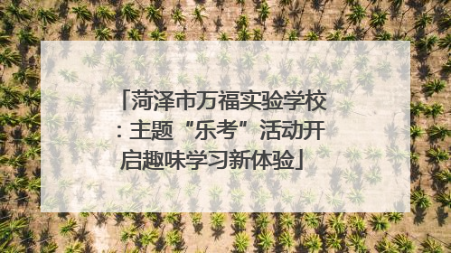 菏泽市万福实验学校：主题“乐考”活动开启趣味学习新体验