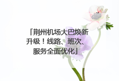 荆州机场大巴焕新升级！线路、班次、服务全面优化
