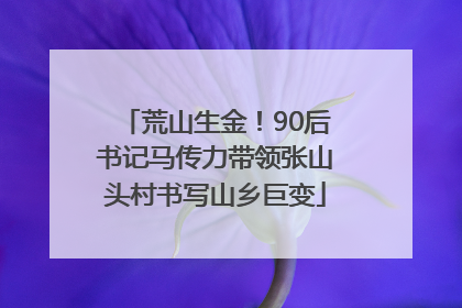荒山生金！90后书记马传力带领张山头村书写山乡巨变