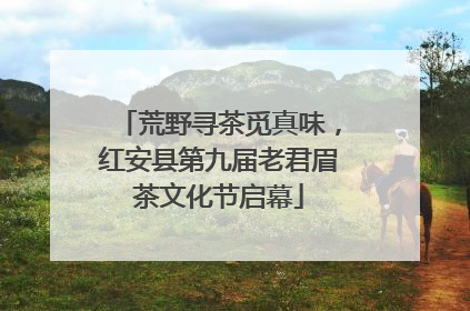 荒野寻茶觅真味，红安县第九届老君眉茶文化节启幕