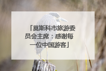 莫斯科市旅游委员会主席：感谢每一位中国游客