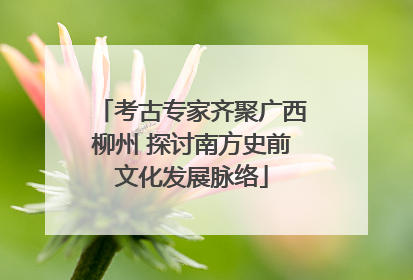 考古专家齐聚广西柳州 探讨南方史前文化发展脉络
