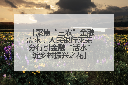 聚焦“三农”金融需求，人民银行莱芜分行引金融“活水”绽乡村振兴之花