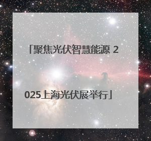 聚焦光伏智慧能源 2025上海光伏展举行