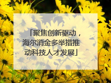 聚焦创新驱动，海尔消金多举措推动科技人才发展
