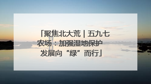 聚焦北大荒｜五九七农场：加强湿地保护 发展向“绿”而行