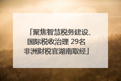 聚焦智慧税务建设、国际税收治理 29名非洲财税官湖南取经