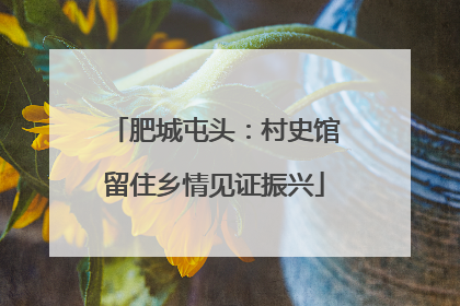 肥城屯头：村史馆留住乡情见证振兴