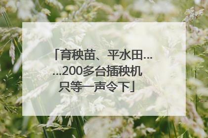育秧苗、平水田……200多台插秧机只等一声令下