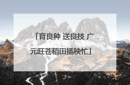 育良种 送良技 广元旺苍稻田插秧忙