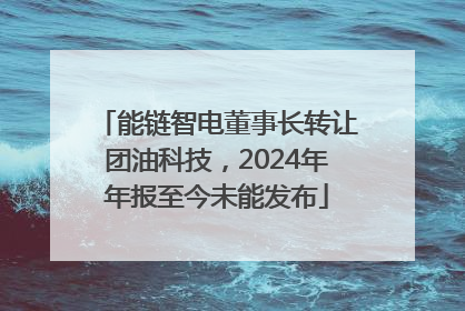 能链智电董事长转让团油科技，2024年年报至今未能发布