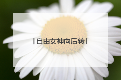 自由女神向后转