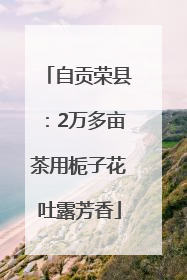 自贡荣县：2万多亩茶用栀子花吐露芳香