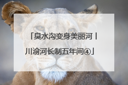臭水沟变身美丽河丨川渝河长制五年间④