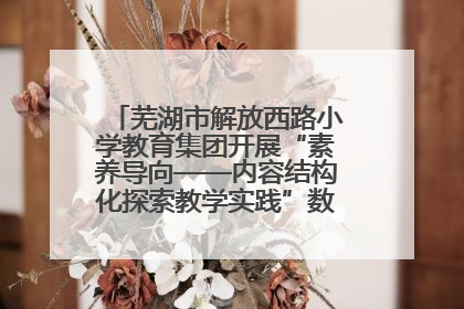 芜湖市解放西路小学教育集团开展“素养导向——内容结构化探索教学实践”数学专题研讨活动