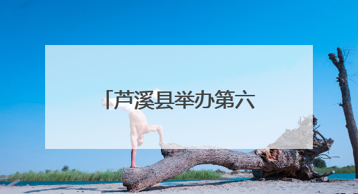 芦溪县举办第六届端午龙舟文化旅游活动（图）