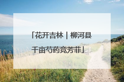花开吉林｜柳河县千亩芍药竞芳菲