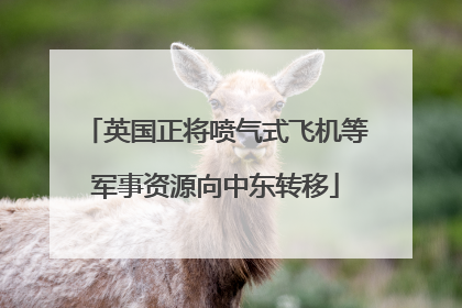 英国正将喷气式飞机等军事资源向中东转移