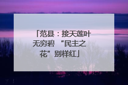 范县：接天莲叶无穷碧 “民主之花”别样红
