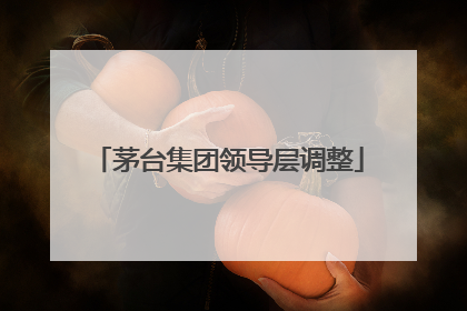 茅台集团领导层调整