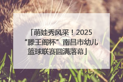 萌娃秀风采！2025“滕王阁杯”南昌市幼儿篮球联赛圆满落幕