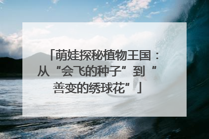 萌娃探秘植物王国：从“会飞的种子”到“善变的绣球花”