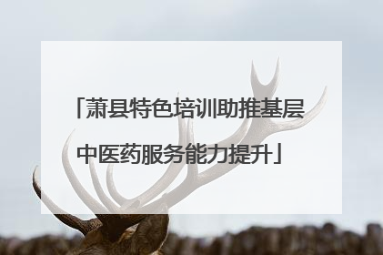 萧县特色培训助推基层中医药服务能力提升